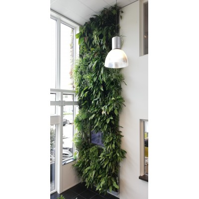 Stěna VEGall WALL - realizace stěny Office centrum