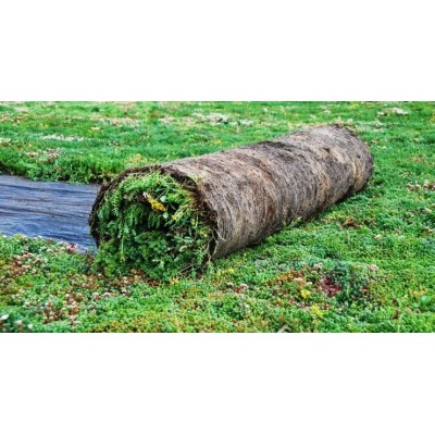 VEGall FLORIQ MAT - rozchodníky na zelenou střechu v rolích