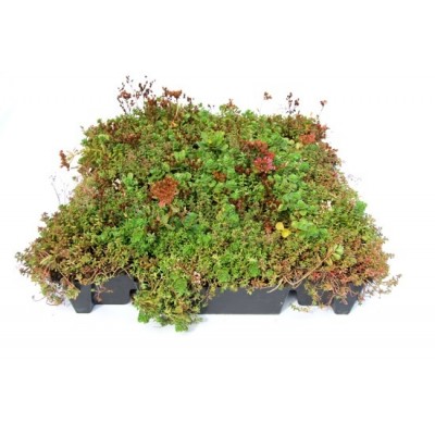 VEGall PUZZLIQ - předpěstovaný profil s vegetací